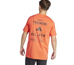 imgi_2_IS7090.UNICA_.2